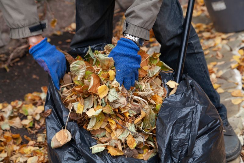Why Regular Leaf Clearing Matters