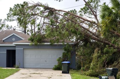 Storm Damage Debris