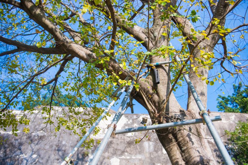 Support System Installation